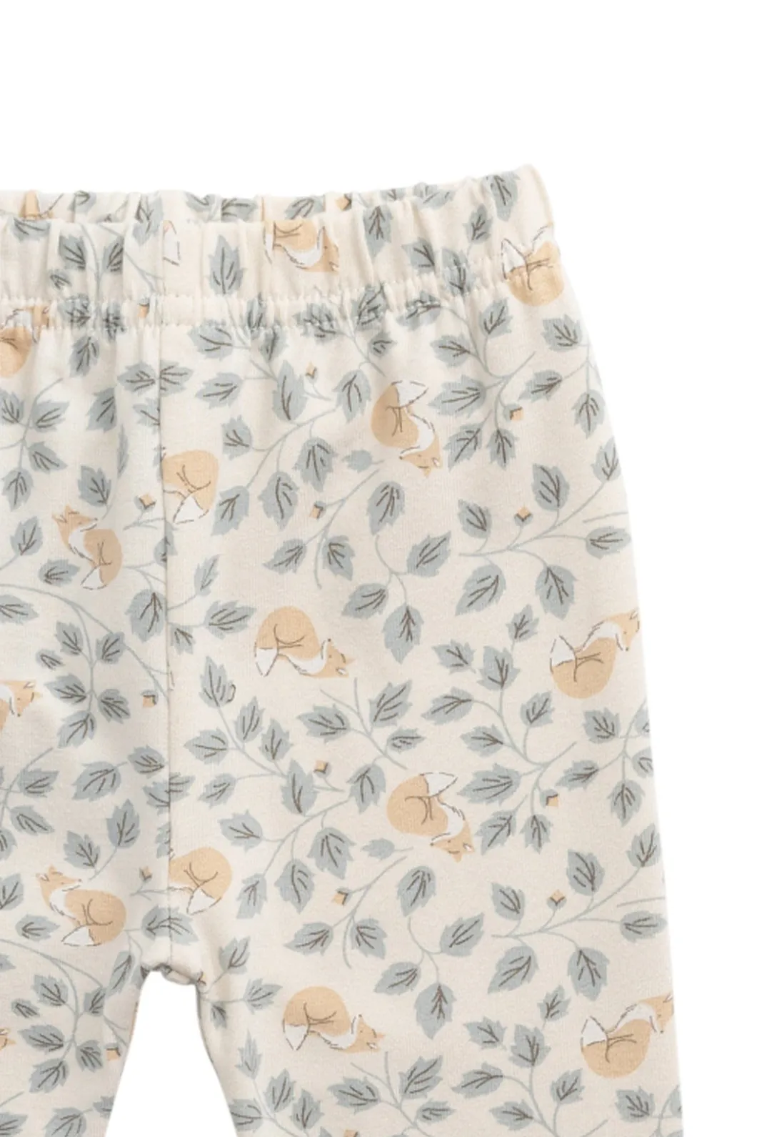 Organic Cotton Everyday Legging - Freddie Fox