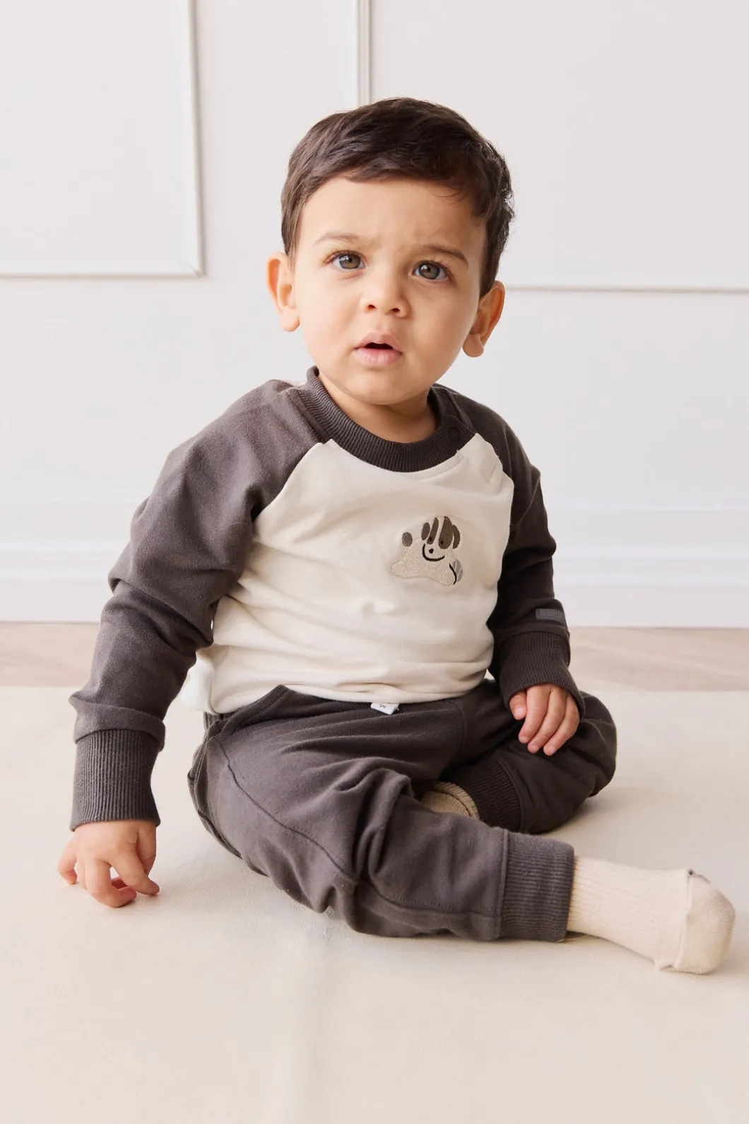 Organic Cotton Tao Sweatshirt - Pinecone/Cloud Sasha Puppy