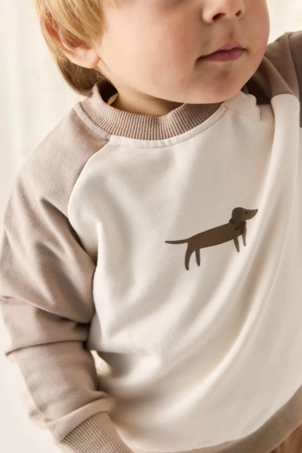 Organic Cotton Tao Sweatshirt - Vintage Taupe Cosy Basil