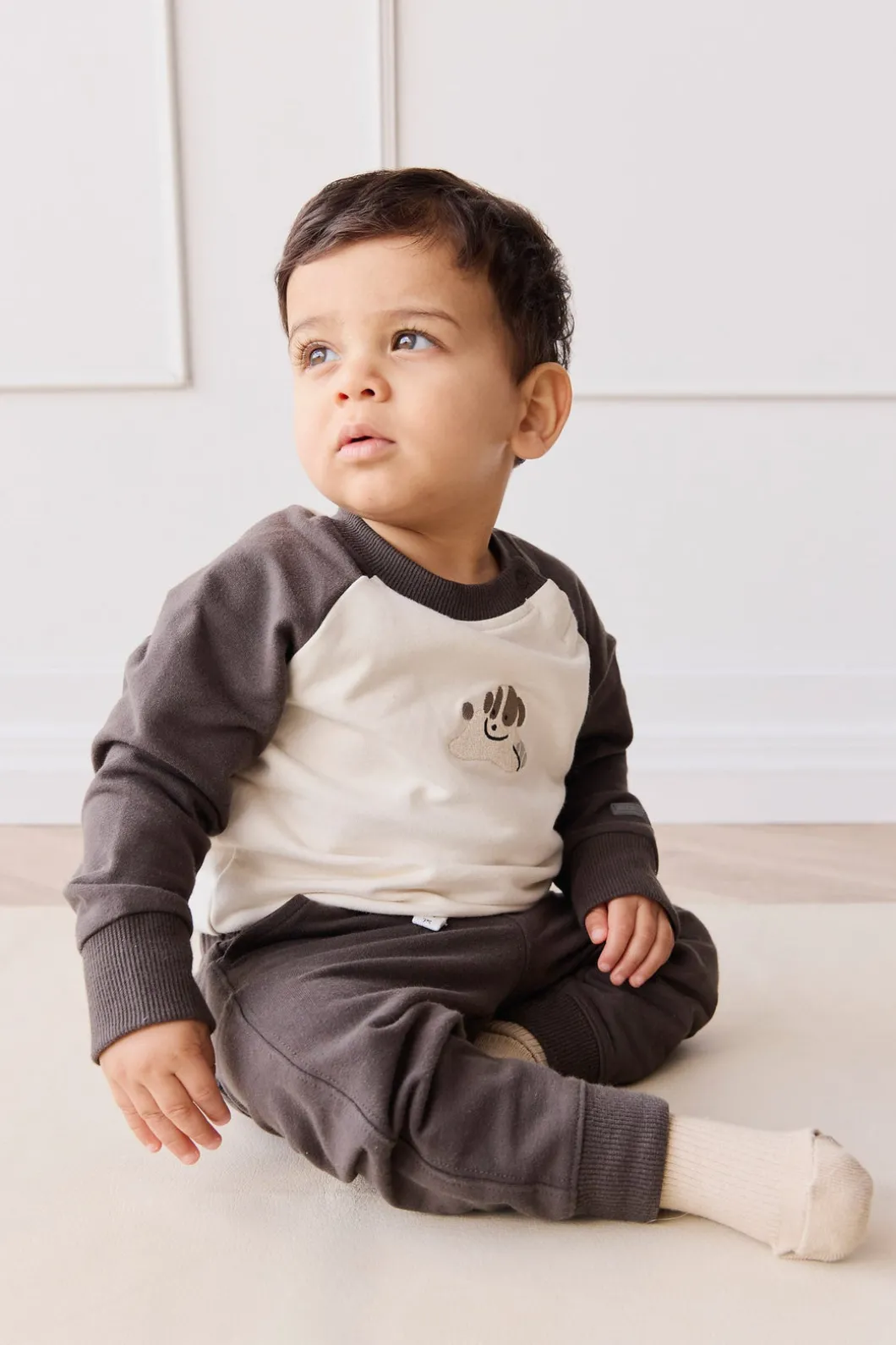 Organic Cotton Tao Sweatshirt - Pinecone/Cloud Sasha Puppy