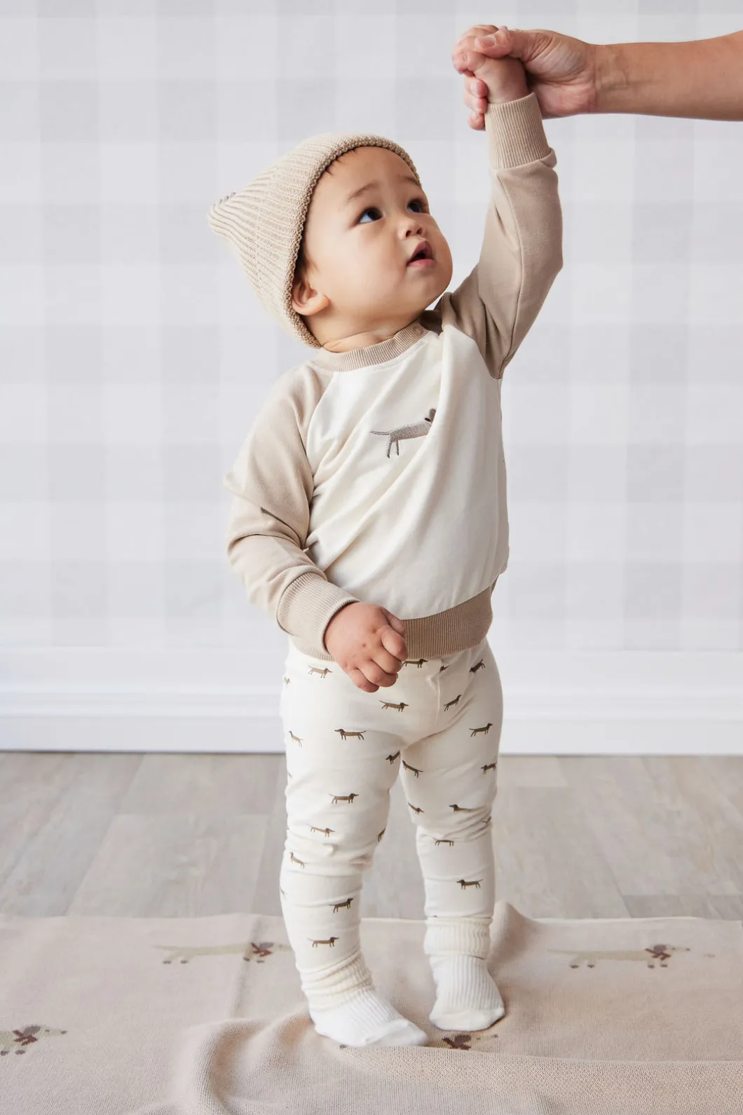 Organic Cotton Tao Sweatshirt - Cosy Basil Fawn