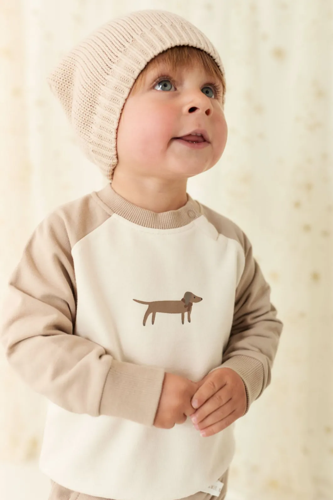 Organic Cotton Tao Sweatshirt - Vintage Taupe Cosy Basil