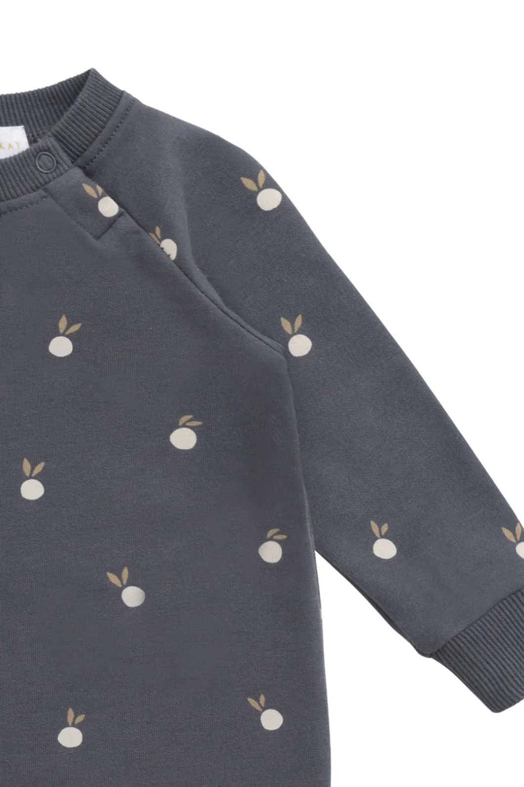 Organic Cotton Tao Sweatshirt Onepiece - Bobby Berries Shadow