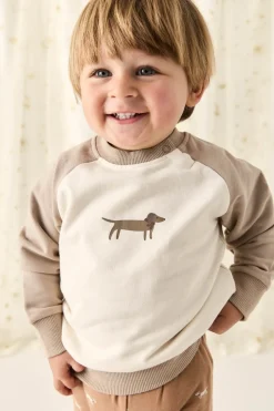 Organic Cotton Tao Sweatshirt - Vintage Taupe Cosy Basil